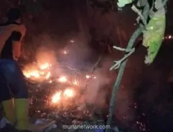 Karhutla Landai Sejumlah Daerah di Jawa, BNPB Catat Dominasi Bencana Pekan Ini