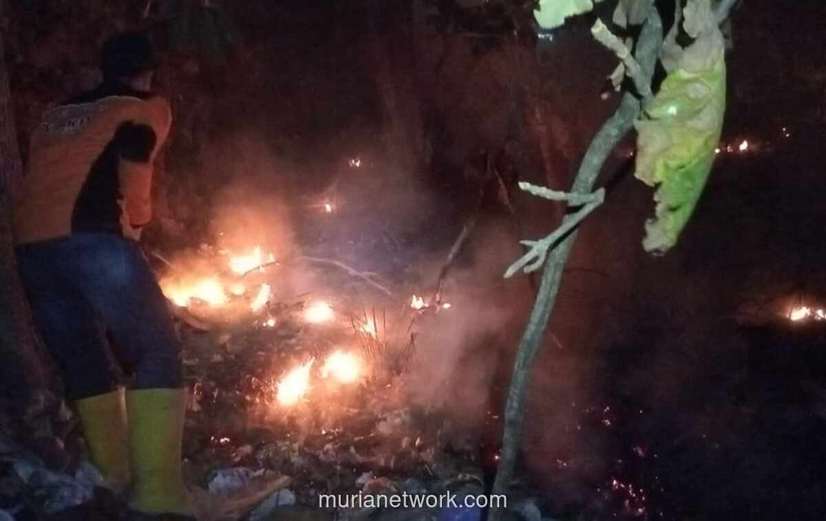 Karhutla Landai Sejumlah Daerah di Jawa, BNPB Catat Dominasi Bencana Pekan Ini