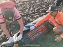 Bocah 8 Tahun Terseret Ombak di Pantai Goa Cemara Ditemukan Tewas di Pantai Bugel