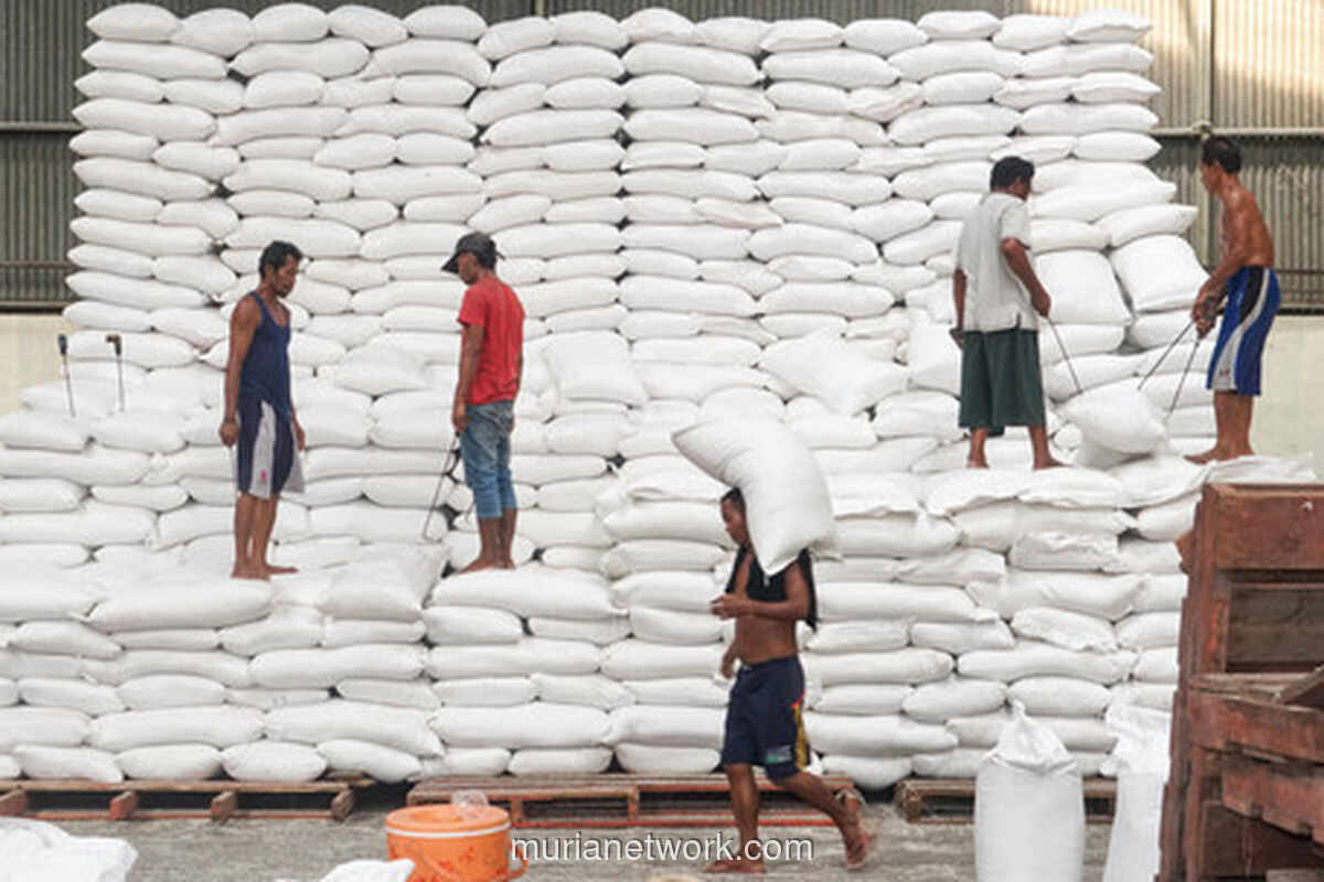 BPS Proyeksikan Produksi Beras 2026 Naik Tipis, Harga Premium Melonjak 11,66%