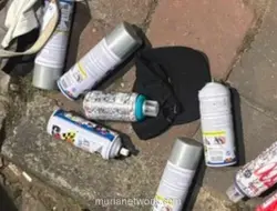 Brimob Gagalkan Aksi Vandalisme di Jakarta Timur, Dua Pemuda Diamankan