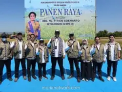 BULOG dan Komisi IV DPR Panen Raya di Klaten, Optimis Capai Swasembada Pangan