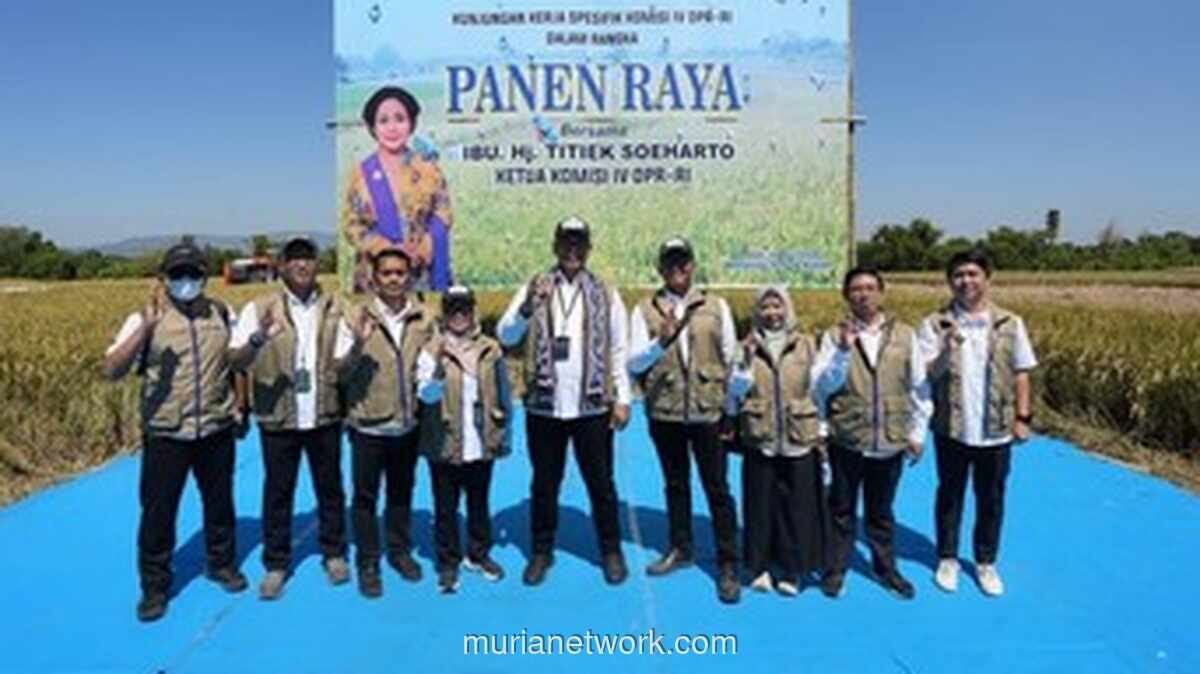 BULOG dan Komisi IV DPR Panen Raya di Klaten, Optimis Capai Swasembada Pangan
