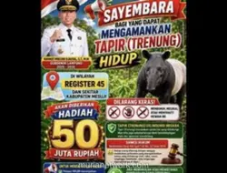 Bupati Mesuji Umumkan Sayembara Tangkap Tapir Hidup-hidup, Hadiah Rp50 Juta