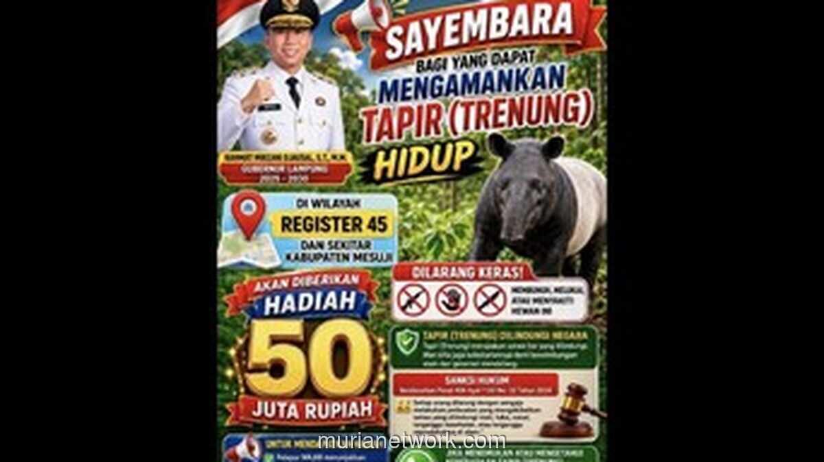 Bupati Mesuji Umumkan Sayembara Tangkap Tapir Hidup-hidup, Hadiah Rp50 Juta