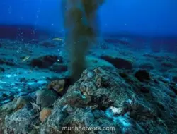 Gunung Api Bawah Laut di Jepang Simpan Kandungan Emas Tertinggi di Dunia