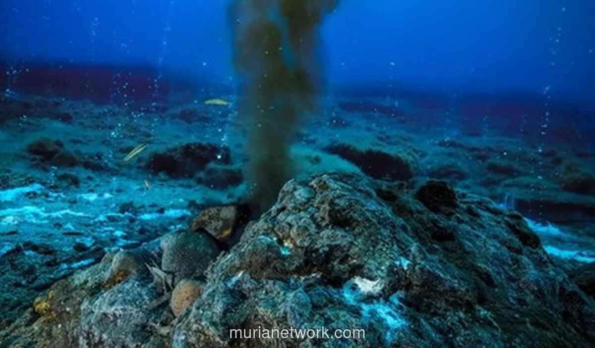 Gunung Api Bawah Laut di Jepang Simpan Kandungan Emas Tertinggi di Dunia