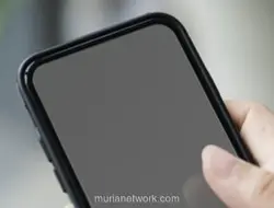 HP Hilang, Jangan Panik: Ini Langkah Cepat Amankan Data Pribadi dan IKD
