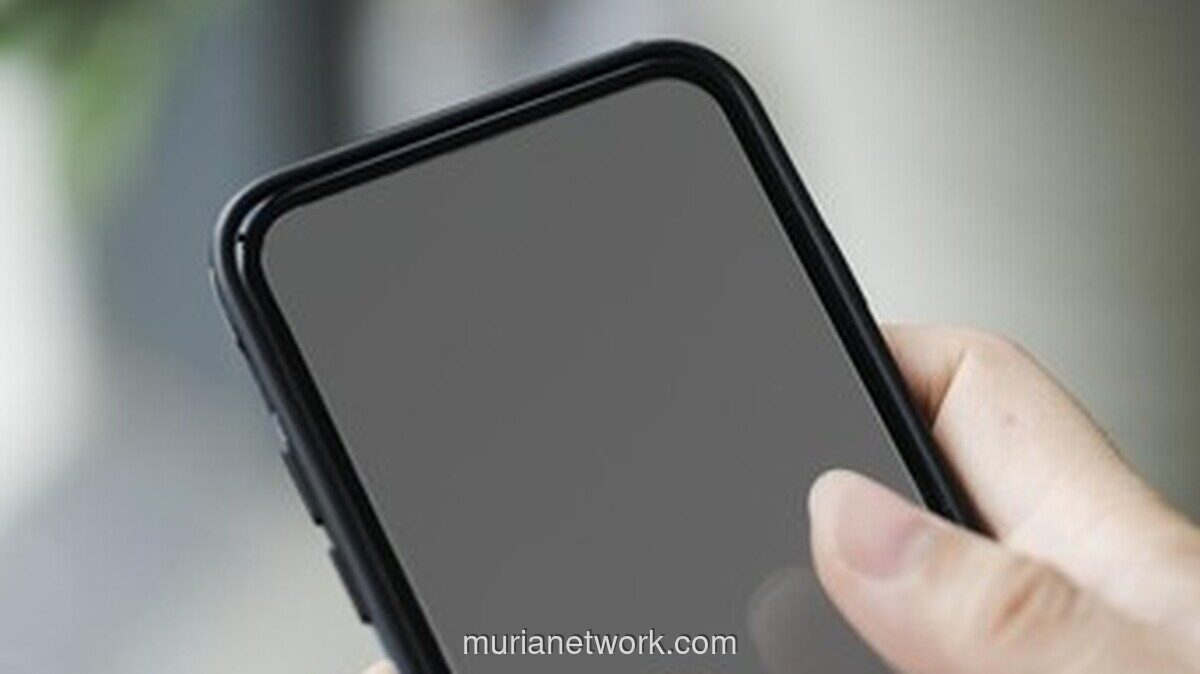 HP Hilang, Jangan Panik: Ini Langkah Cepat Amankan Data Pribadi dan IKD