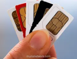 Mulai Juli 2026, Registrasi SIM Baru Wajib Verifikasi Wajah