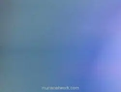 Ancelotti Akui Kesalahan Taktik di Laga Brasil vs Norwegia, Umumkan Regenerasi Tim