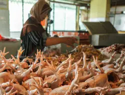 Harga Pangan Hari Ini: Cabai Rawit, Daging Ayam, dan Minyak Goreng Naik