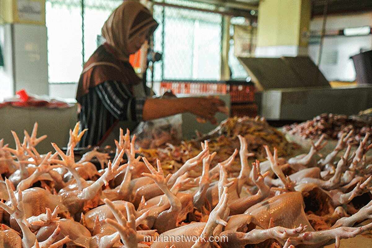 Harga Pangan Hari Ini: Cabai Rawit, Daging Ayam, dan Minyak Goreng Naik
