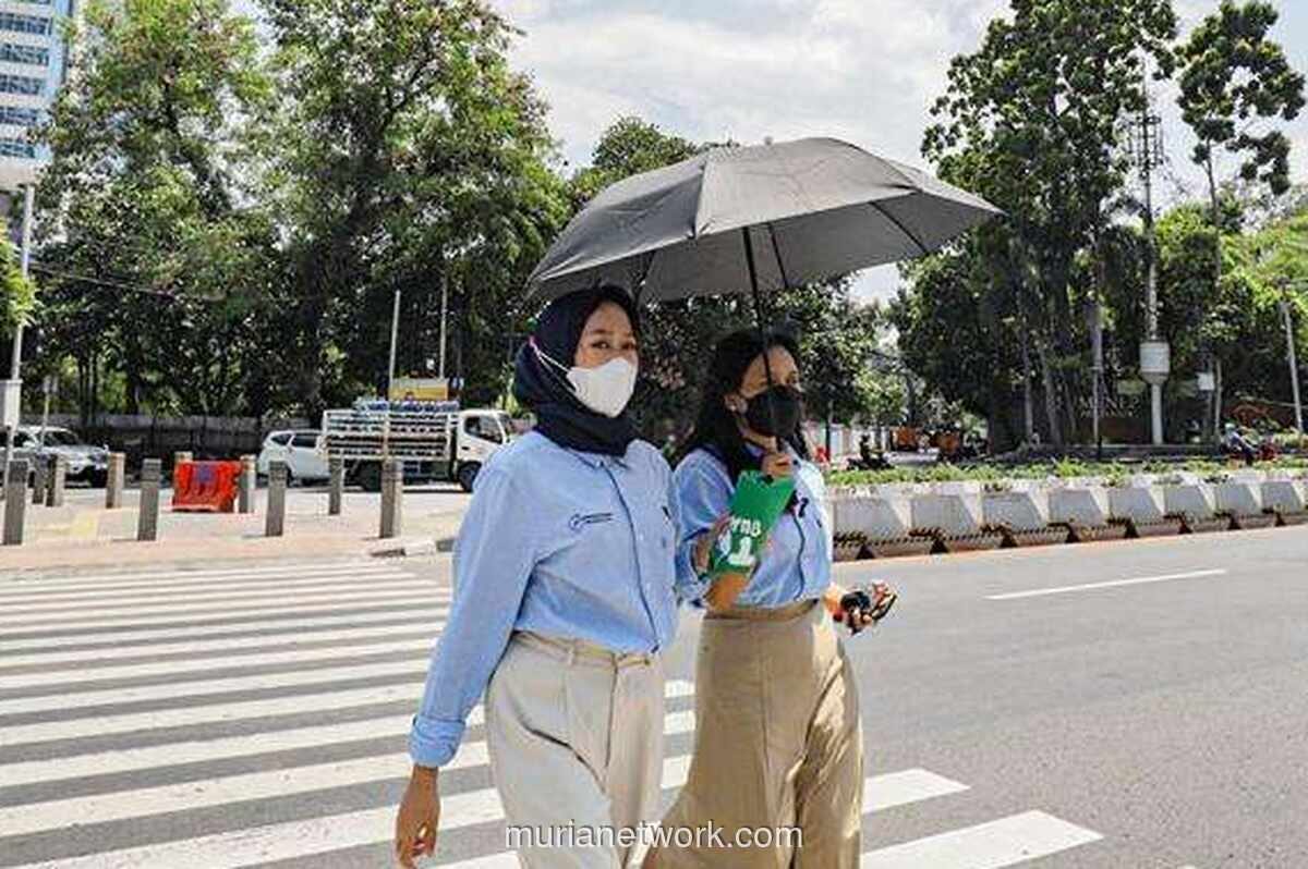 Papua Barat Catat Suhu Tertinggi di Indonesia, Nyaris 40 Derajat Celsius
