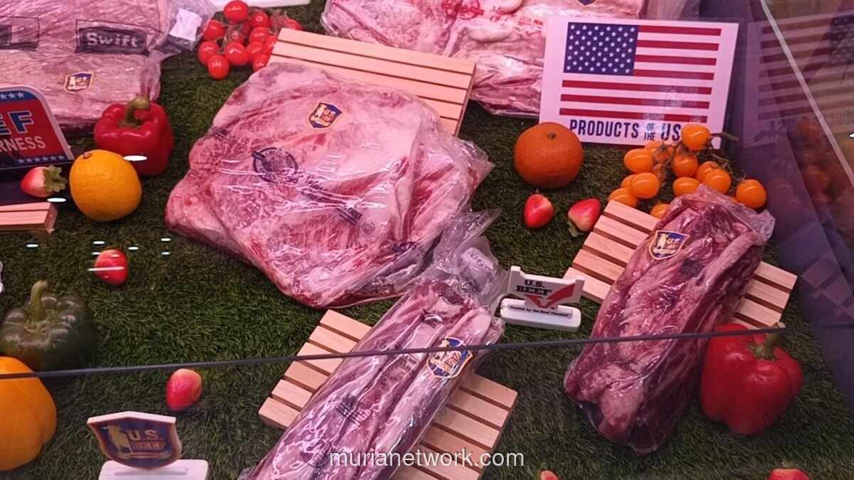 Rahasia Daging Sapi AS: Pakan Jagung Ciptakan Marbling Premium
