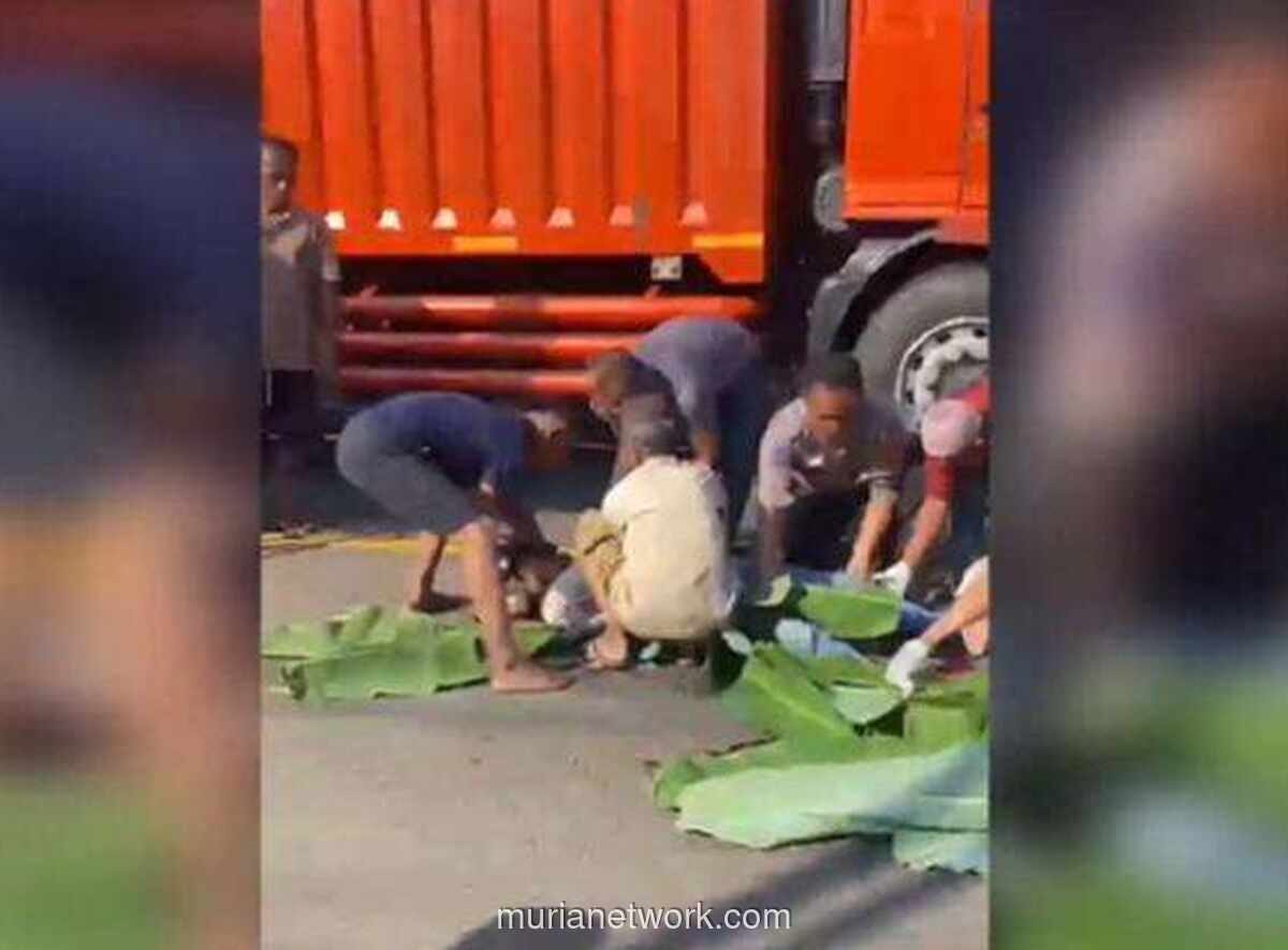 Dua Pemotor Tewas Terlindas Truk di Lampung Timur, Polisi Amankan Tiga Sopir