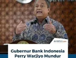 Analis: Mundurnya Gubernur BI Bisa Jadi Akibat Dominasi Fiskal Pemerintah