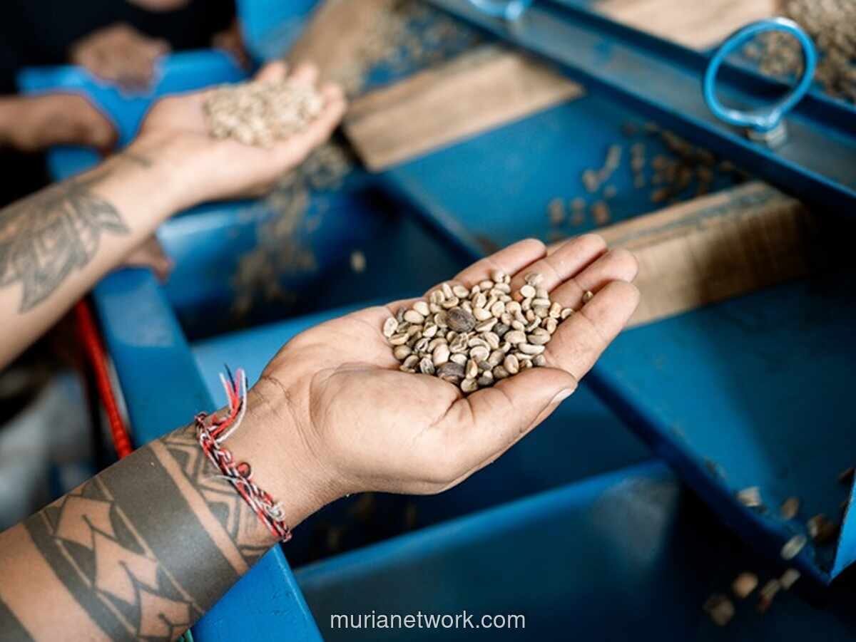 Kopi Kenangan Raup Laba Rp467 Miliar, Ubah Limbah Jadi Berkah
