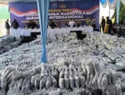 Bea Cukai Bongkar Penyelundupan 3,37 Ton Ganja dari Jaringan Internasional