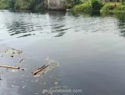 DLHK Banten Temukan Pencemaran di Sungai Ciujung, Limbah Domestik dan Perusahaan Jadi Penyebab