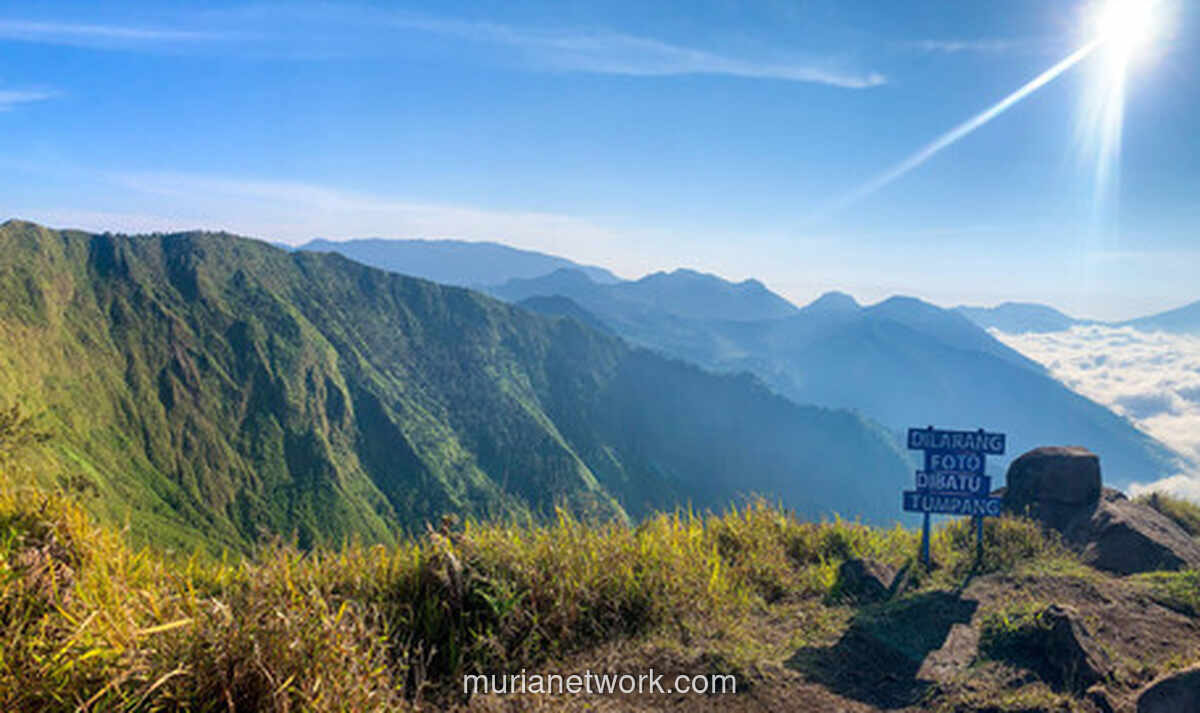 Dua Remaja Hilang saat Mendaki Gunung Bismo, Tim Gabungan Masih Melakukan Pencarian