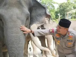 Kapolda Riau Kunjungi Pusat Latih Gajah, Tegaskan Dukungan pada Inpres Perlindungan Satwa