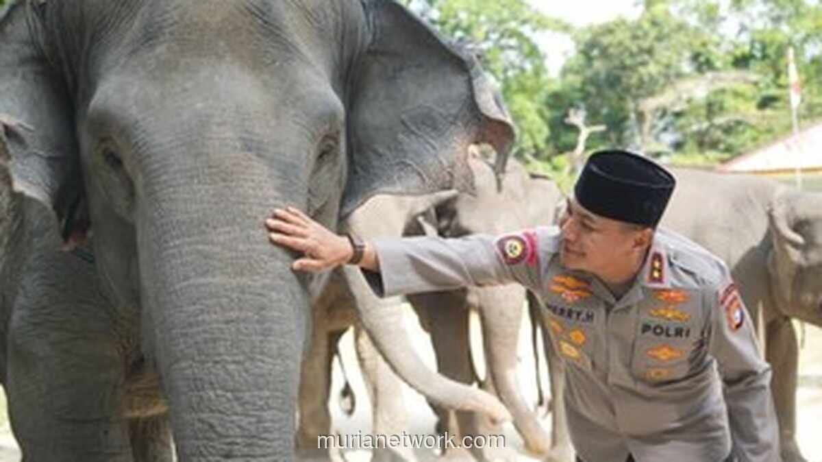 Kapolda Riau Kunjungi Pusat Latih Gajah, Tegaskan Dukungan pada Inpres Perlindungan Satwa