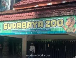 KBS Pastikan Pakan Satwa Tetap Terpenuhi Usai Korupsi Rp 10,2 Miliar Terungkap