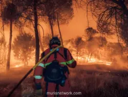 Gelombang Panas Landa Eropa, Ribuan Orang Dievakuasi dari Kebakaran Hutan