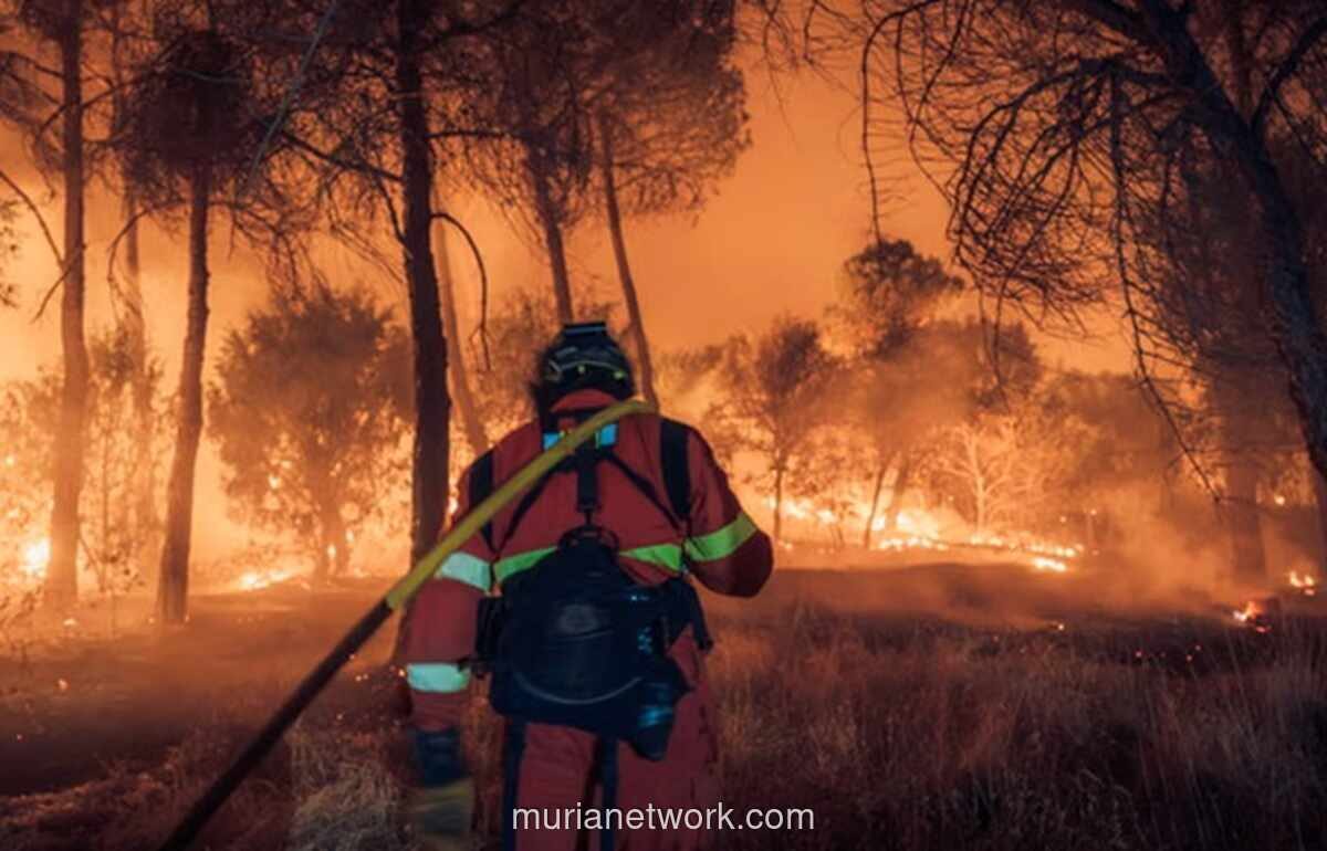 Gelombang Panas Landa Eropa, Ribuan Orang Dievakuasi dari Kebakaran Hutan