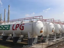 ESSA Tangguhkan Proyek Bahan Bakar Penerbangan Ramah Lingkungan