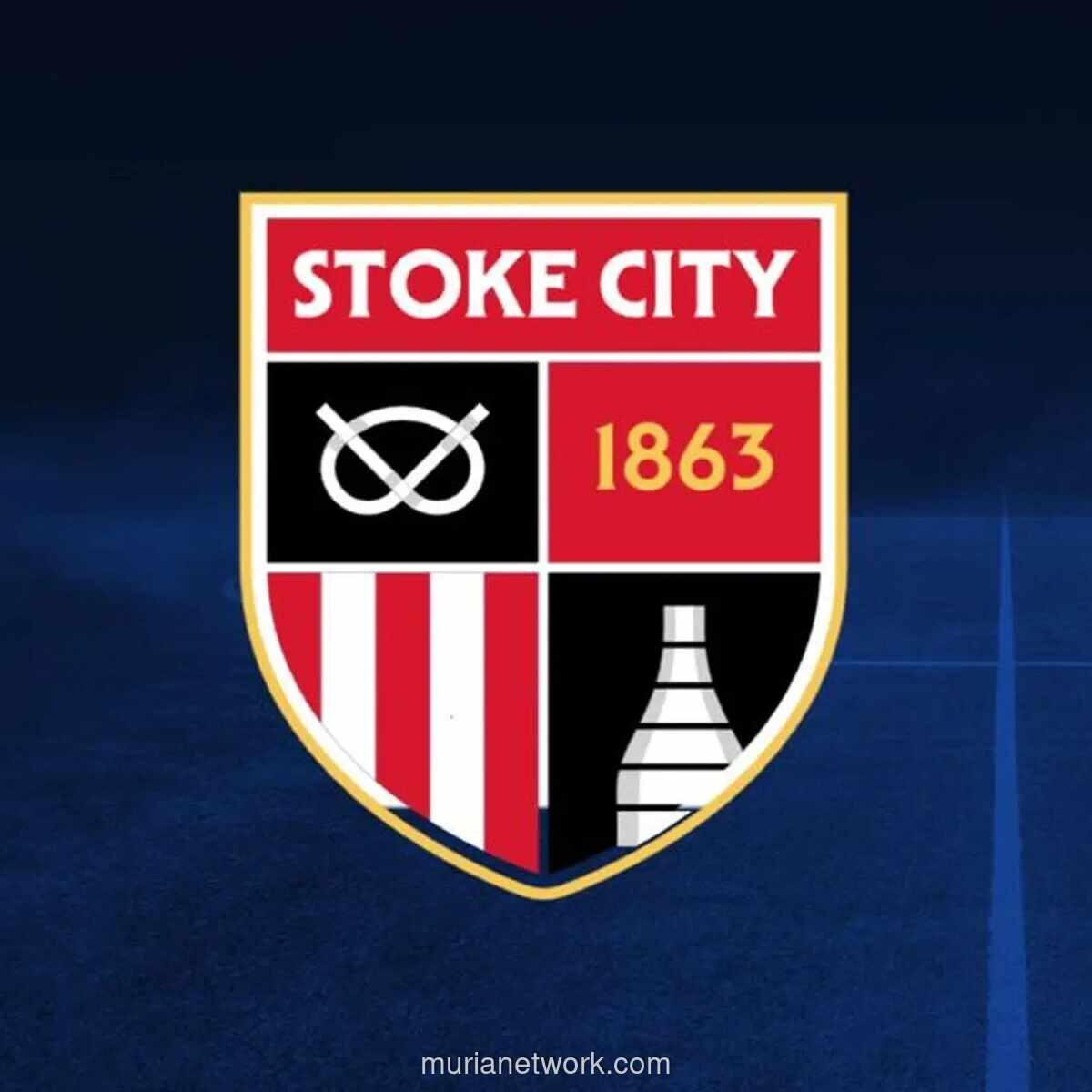 Everton Takluk 0-1 dari Stoke City dalam Uji Coba Pramusim