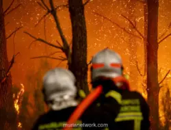 Kebakaran Hutan di Prancis, 220.000 Warga Belum Bisa Pulang