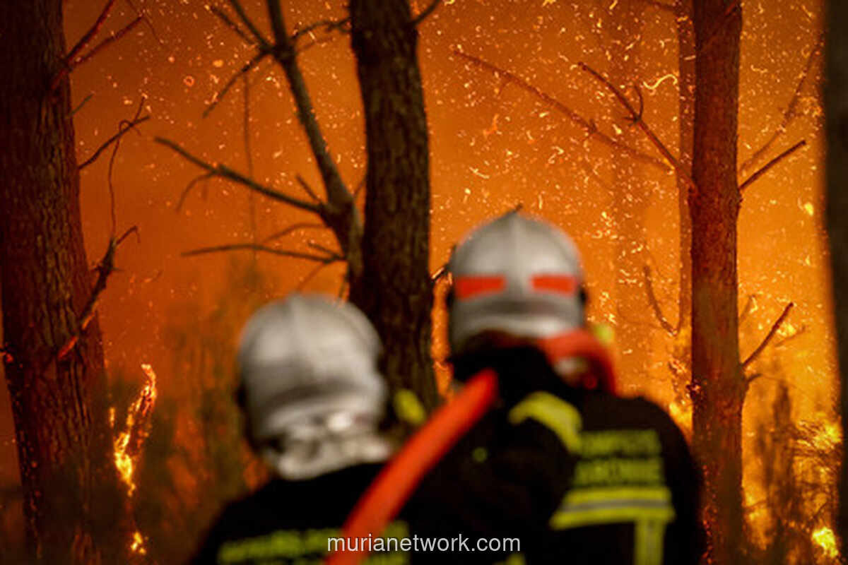 Kebakaran Hutan di Prancis, 220.000 Warga Belum Bisa Pulang