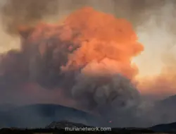 Kebakaran Hutan di Prancis Selatan Hanguskan 4.600 Hektare, 10.000 Warga Mengungsi