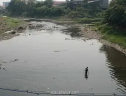 Sungai Bekasi Surut, Warga Manfaatkan Momen Mencari Ikan