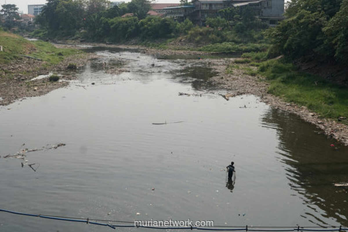 Sungai Bekasi Surut, Warga Manfaatkan Momen Mencari Ikan