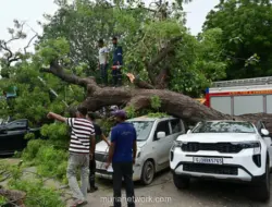 Hujan Monsun Landa New Delhi, Pohon Tumbang Timpa Mobil Tewaskan Empat Orang