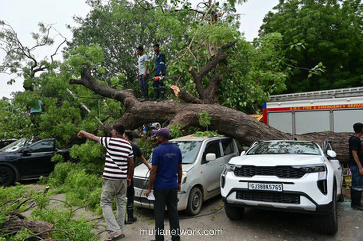 Hujan Monsun Landa New Delhi, Pohon Tumbang Timpa Mobil Tewaskan Empat Orang