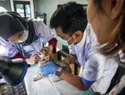 Klinik Hewan Keliling Hadir di Jakarta Timur, Warga Antre Periksa Hewan Peliharaan