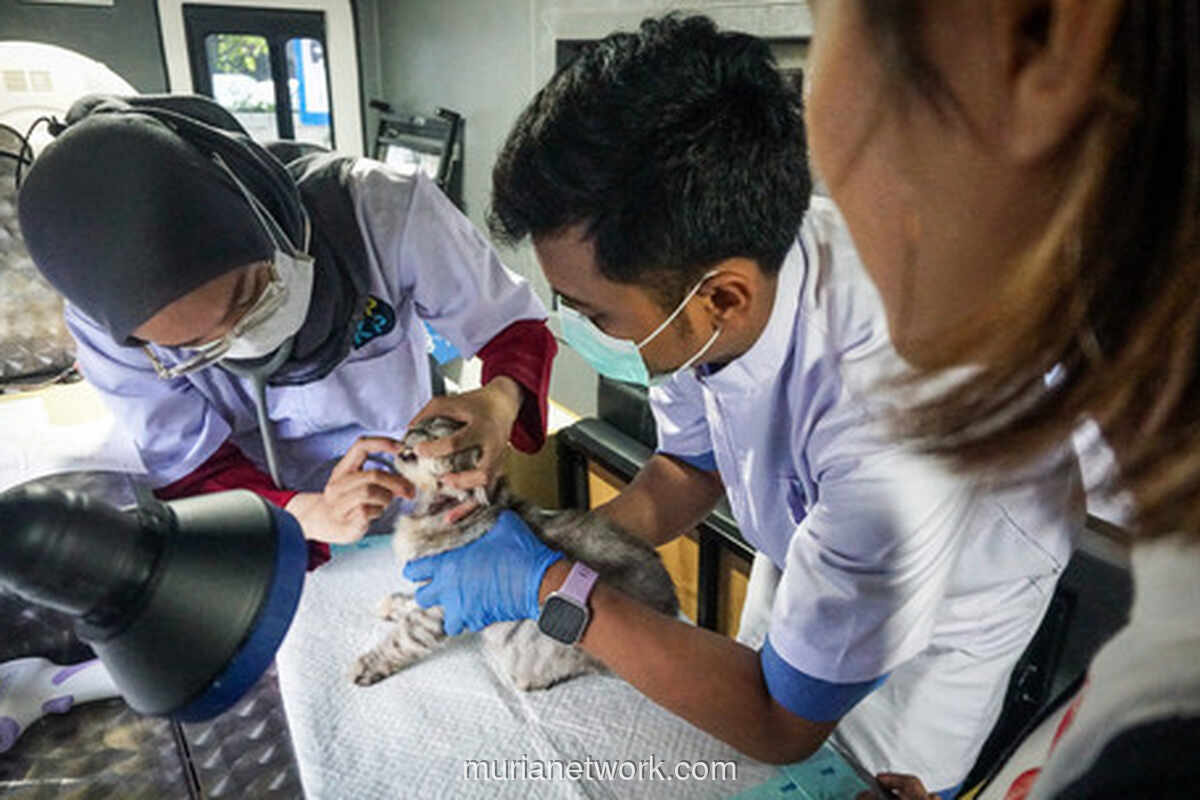 Klinik Hewan Keliling Hadir di Jakarta Timur, Warga Antre Periksa Hewan Peliharaan