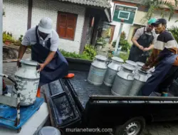 Pabrik Keju Artisan di Sleman Serap 1.000 Liter Susu Peternak Lokal per Hari