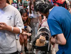 Ribuan Kucing Berhias Kostum Unik Meriahkan Hong Kong Cat Expo 2026