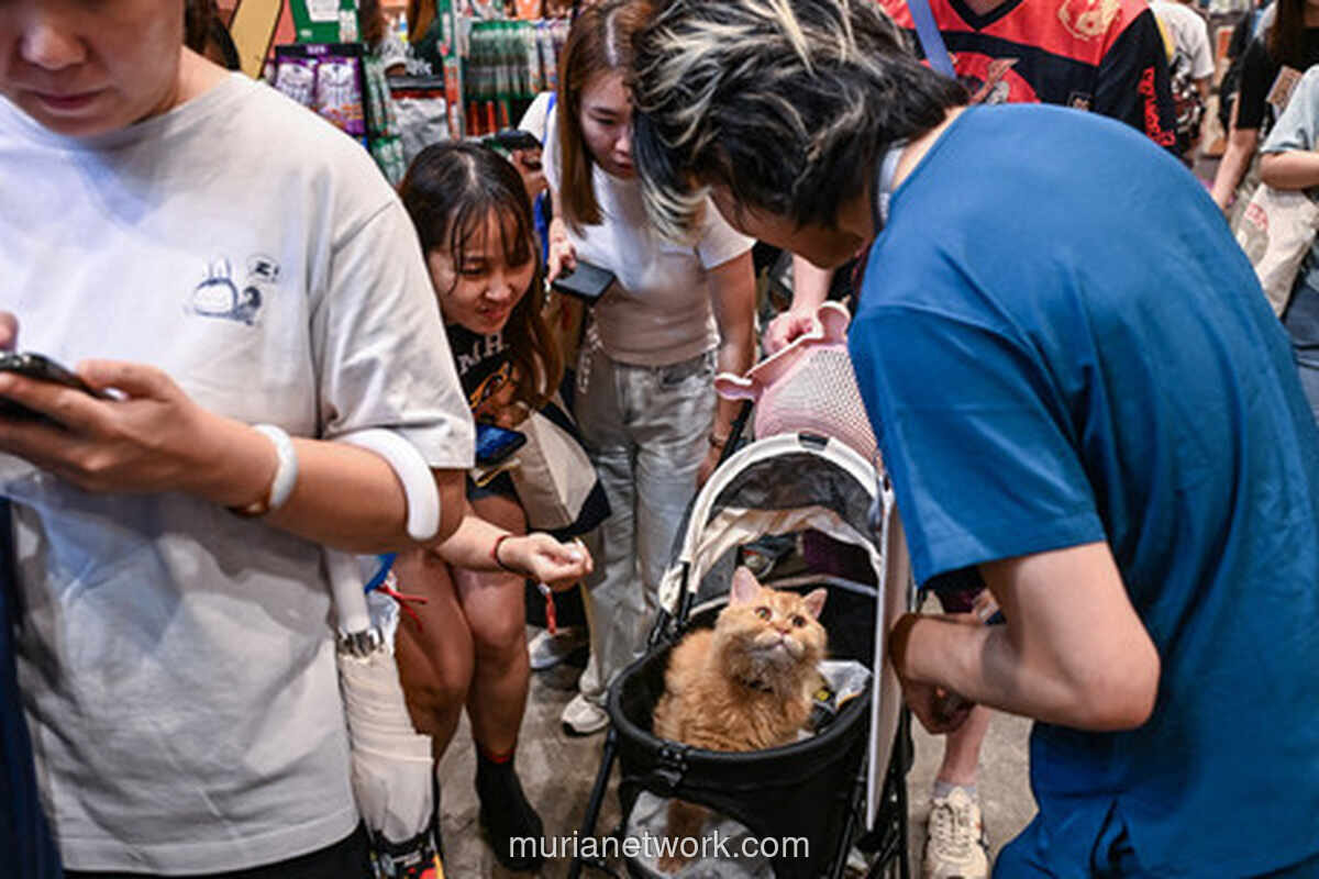Ribuan Kucing Berhias Kostum Unik Meriahkan Hong Kong Cat Expo 2026
