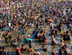 Dua Ton Ikan Dibagikan dalam Festival Memet Ikan di Klaten