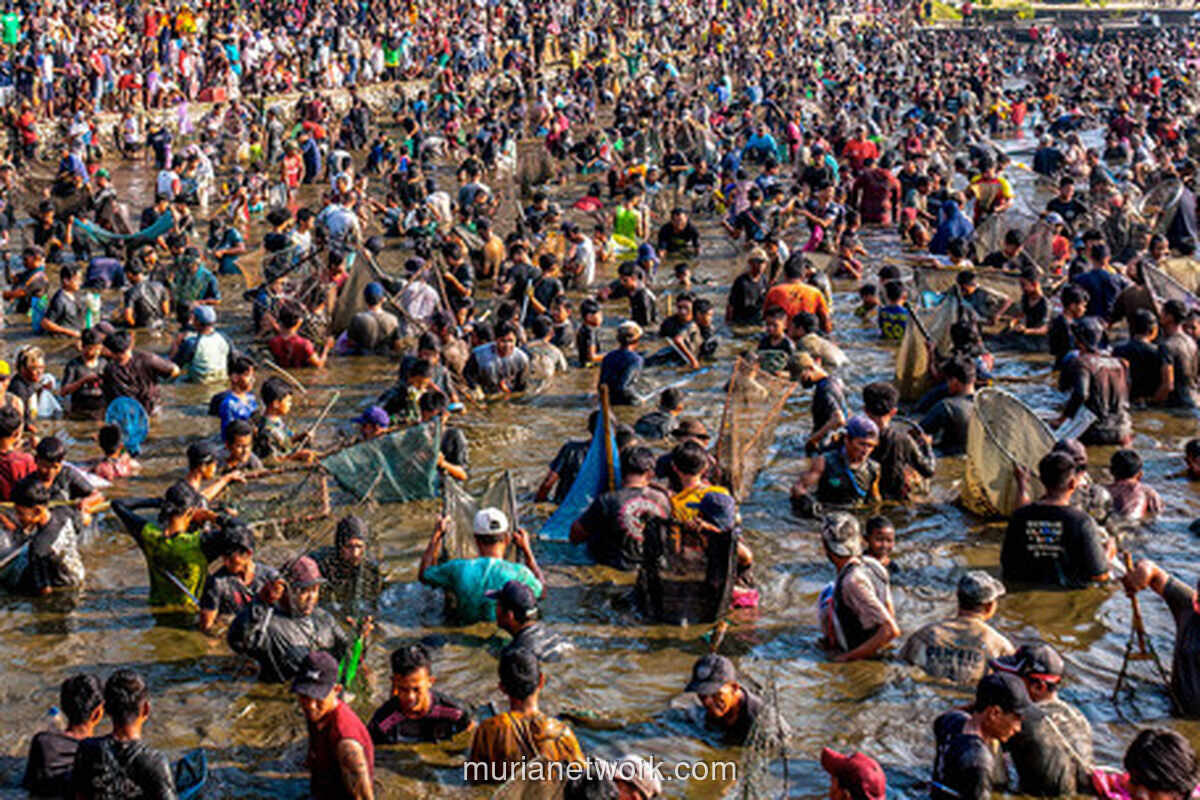Dua Ton Ikan Dibagikan dalam Festival Memet Ikan di Klaten