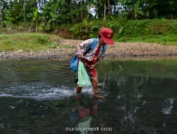 Tanpa Jembatan, Siswa SD di Pandeglang Nekat Seberangi Sungai demi Sekolah