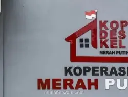 Gaji Manajer Koperasi Desa Merah Putih Ditanggung APBN Dua Tahun
