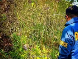 Kerangka Wanita di Hutan Sukabumi Teridentifikasi, Polisi Tangkap Pelaku Pembunuhan