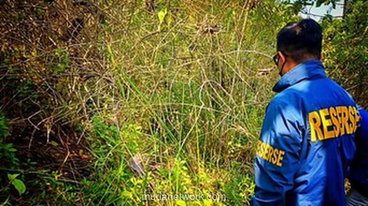 Kerangka Wanita di Hutan Sukabumi Teridentifikasi, Polisi Tangkap Pelaku Pembunuhan